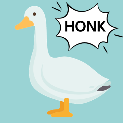 Goose saying HONK