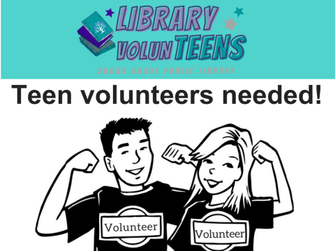Teen Volunteers Needed!