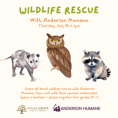 A water color image of an opossum, a great horned owl, and a raccoon. Text: Wildlife Rescue with Anderson Humane, Thursday, July 18 @ 3pm. Learn all about wildlife rescue with Anderson Humane, then visit with their opossum ambassador. Space is limited-- please register! For grades K-5.