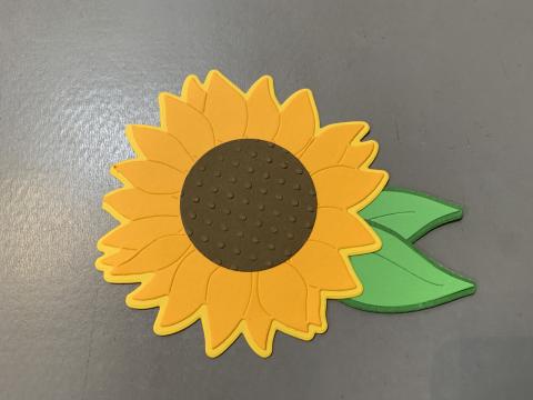Sunflower greeting card by Jennifer Boring