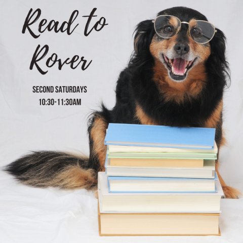 A long-haired black and tan dachshund wearing glasses and sitting behind a stack of books. Grey background with black script reading "Read to Rover: Second Saturdays 10:30 - 11:30"