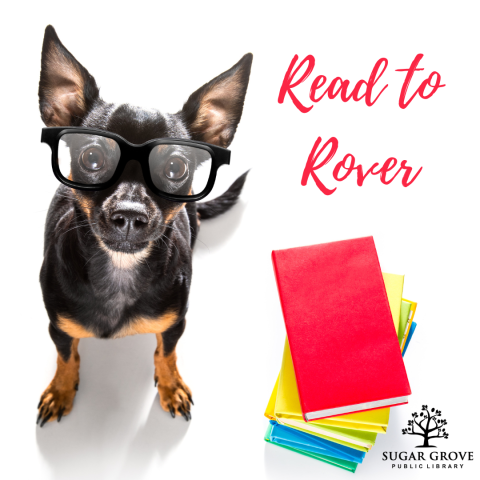 A black and tan chihuahua wearing big black glasses, standing next to a stack of brightly colored books. Red cursive text: Read to Rover