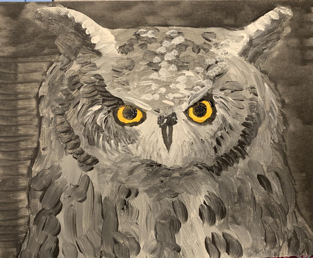 Owl painting